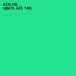 #23E192 - Shamrock Color Image