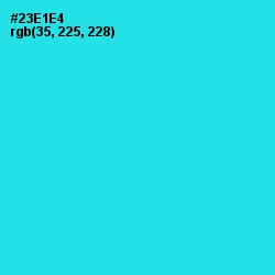 #23E1E4 - Bright Turquoise Color Image