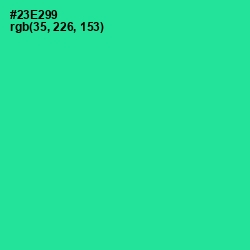 #23E299 - Shamrock Color Image