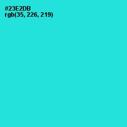 #23E2DB - Turquoise Color Image