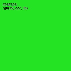 #23E323 - Harlequin Color Image