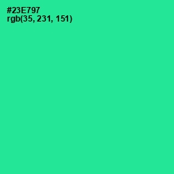 #23E797 - Shamrock Color Image