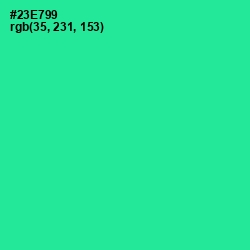 #23E799 - Shamrock Color Image