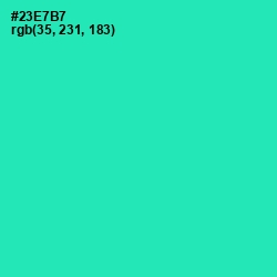 #23E7B7 - Shamrock Color Image