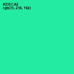 #23ECA2 - Shamrock Color Image