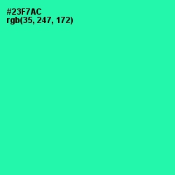 #23F7AC - Shamrock Color Image