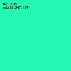 #23F7B1 - Shamrock Color Image