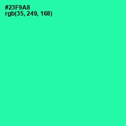 #23F9A8 - Shamrock Color Image