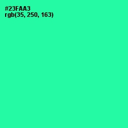 #23FAA3 - Shamrock Color Image