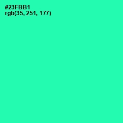 #23FBB1 - Shamrock Color Image