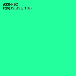 #23FF9C - Shamrock Color Image