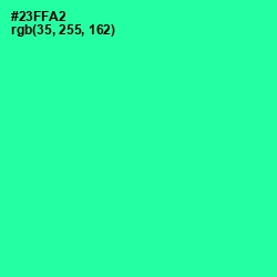 #23FFA2 - Shamrock Color Image