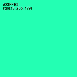 #23FFB3 - Shamrock Color Image