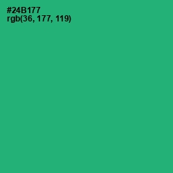 #24B177 - Jade Color Image