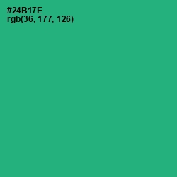 #24B17E - Jade Color Image