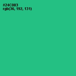 #24C083 - Shamrock Color Image