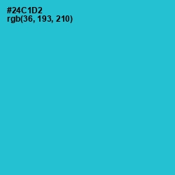 #24C1D2 - Turquoise Color Image