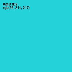 #24D3D9 - Turquoise Color Image