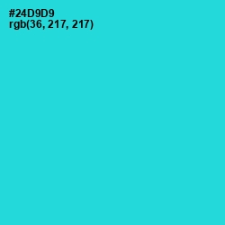 #24D9D9 - Turquoise Color Image