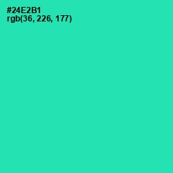 #24E2B1 - Shamrock Color Image