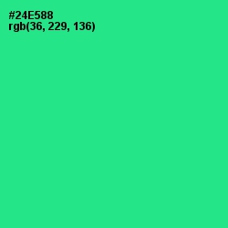 #24E588 - Shamrock Color Image