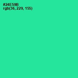 #24E59B - Shamrock Color Image