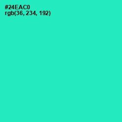 #24EAC0 - Turquoise Color Image
