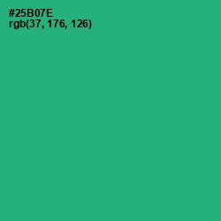 #25B07E - Jade Color Image