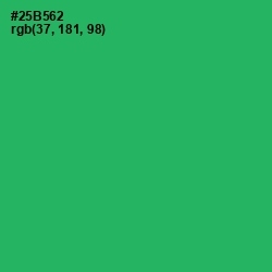 #25B562 - Jade Color Image