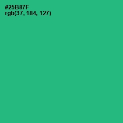 #25B87F - Jade Color Image