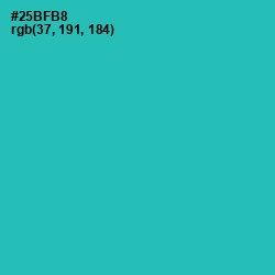 #25BFB8 - Pelorous Color Image