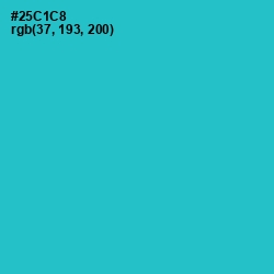 #25C1C8 - Turquoise Color Image