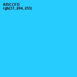 #25CCFD - Bright Turquoise Color Image