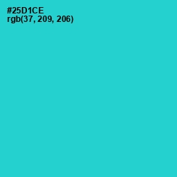 #25D1CE - Turquoise Color Image