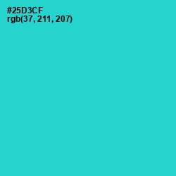 #25D3CF - Turquoise Color Image