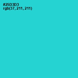 #25D3D3 - Turquoise Color Image