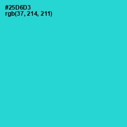 #25D6D3 - Turquoise Color Image