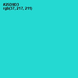 #25D9D3 - Turquoise Color Image