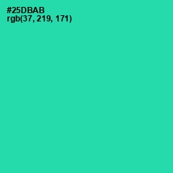 #25DBAB - Puerto Rico Color Image