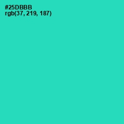 #25DBBB - Puerto Rico Color Image