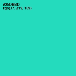 #25DBBD - Puerto Rico Color Image