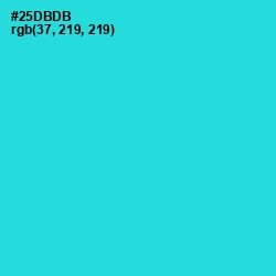 #25DBDB - Turquoise Color Image