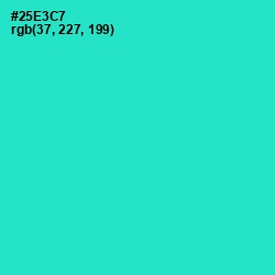 #25E3C7 - Turquoise Color Image