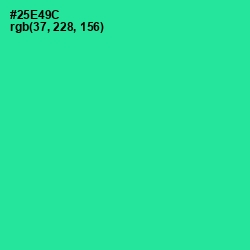 #25E49C - Shamrock Color Image