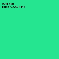 #25E590 - Shamrock Color Image