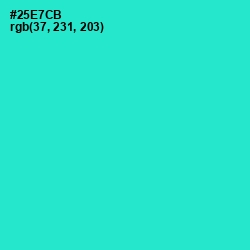 #25E7CB - Turquoise Color Image