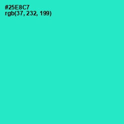 #25E8C7 - Turquoise Color Image