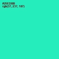 #25EDBB - Shamrock Color Image