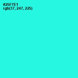 #25F7E1 - Bright Turquoise Color Image