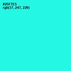 #25F7E5 - Bright Turquoise Color Image